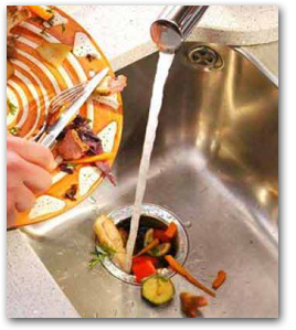 Garbage Disposal Repair